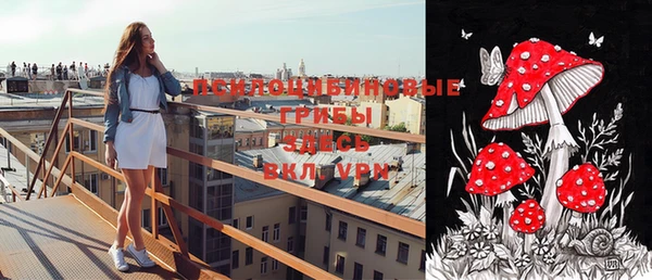 mdpv Баксан