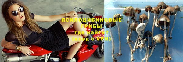 mdpv Баксан
