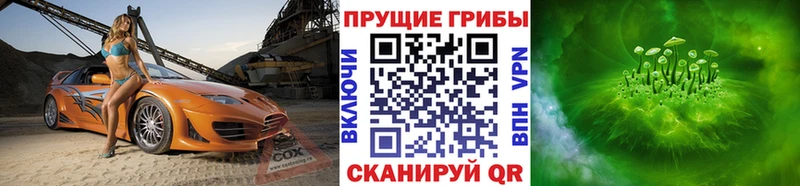 сайты даркнета какой сайт  Краснокаменск  Галлюциногенные грибы Cubensis 