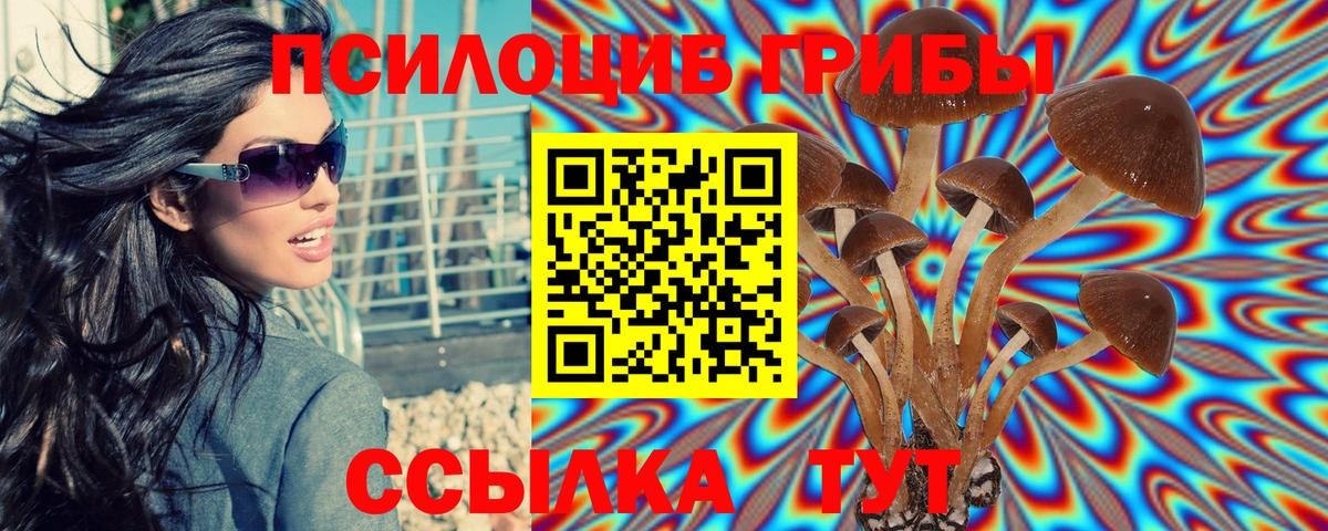 Псилоцибиновые грибы Psilocybe Краснокаменск