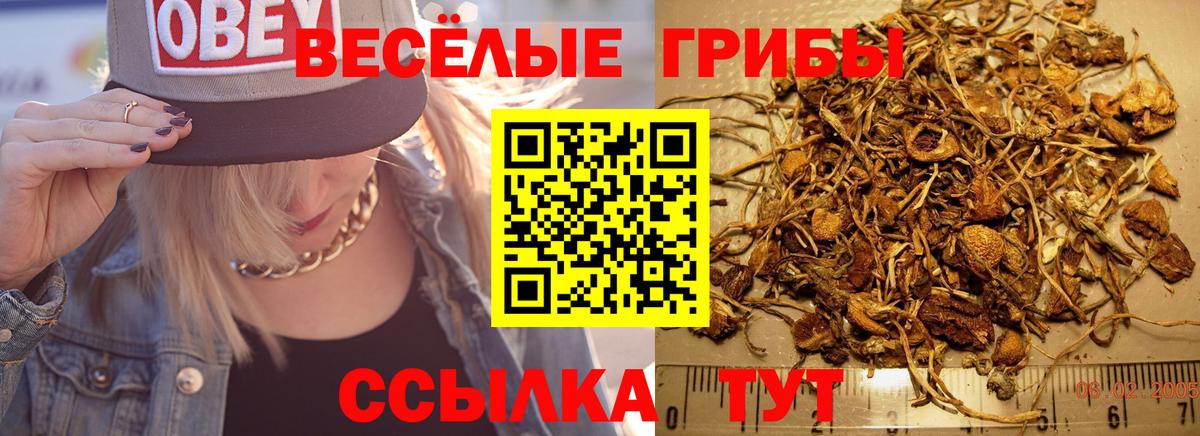 Псилоцибиновые грибы мицелий  Галлюциногенные грибы мицелий  Вход с VPN  Краснокаменск 